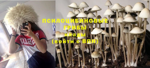 PSILOCYBIN Алексеевка
