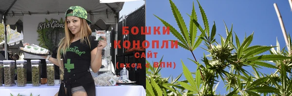 прущий лед Абаза