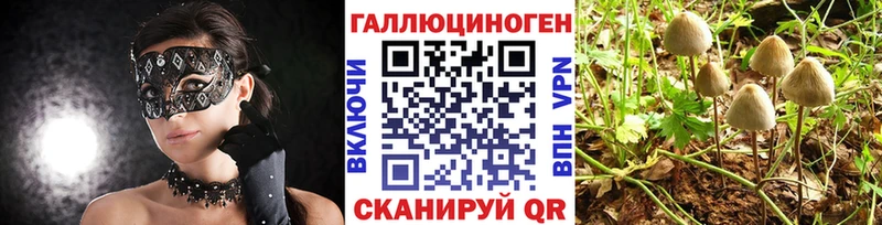OMG   Лабытнанги  Галлюциногенные грибы GOLDEN TEACHER  наркошоп 